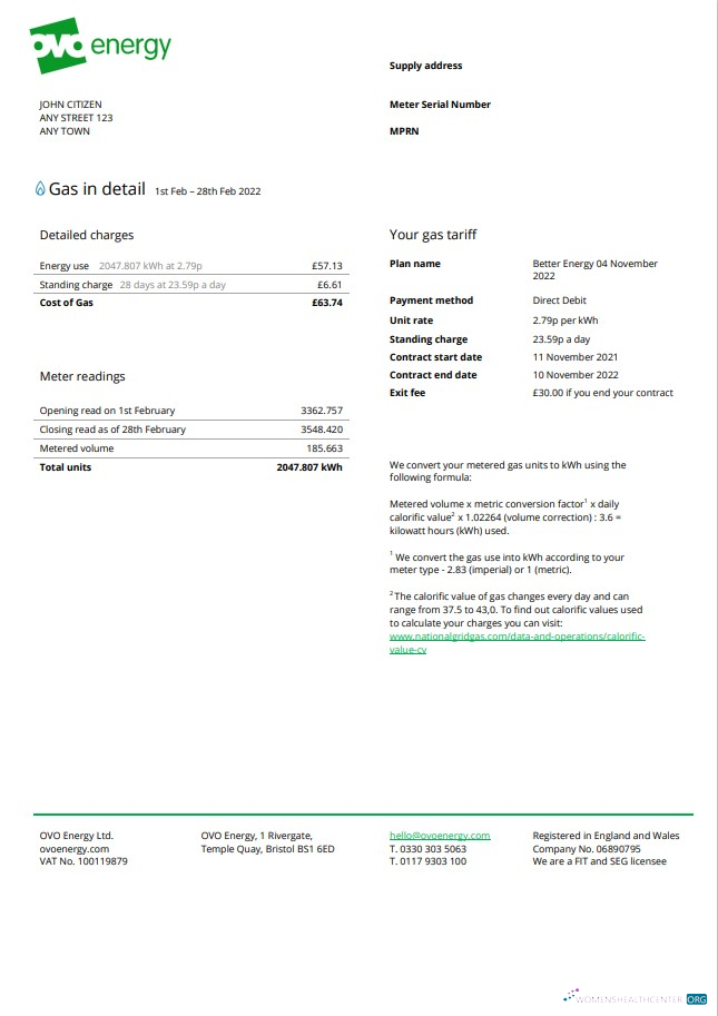 download download United Kingdom Ovo Energy utility bill, Word and PDF template PDF template PDF template